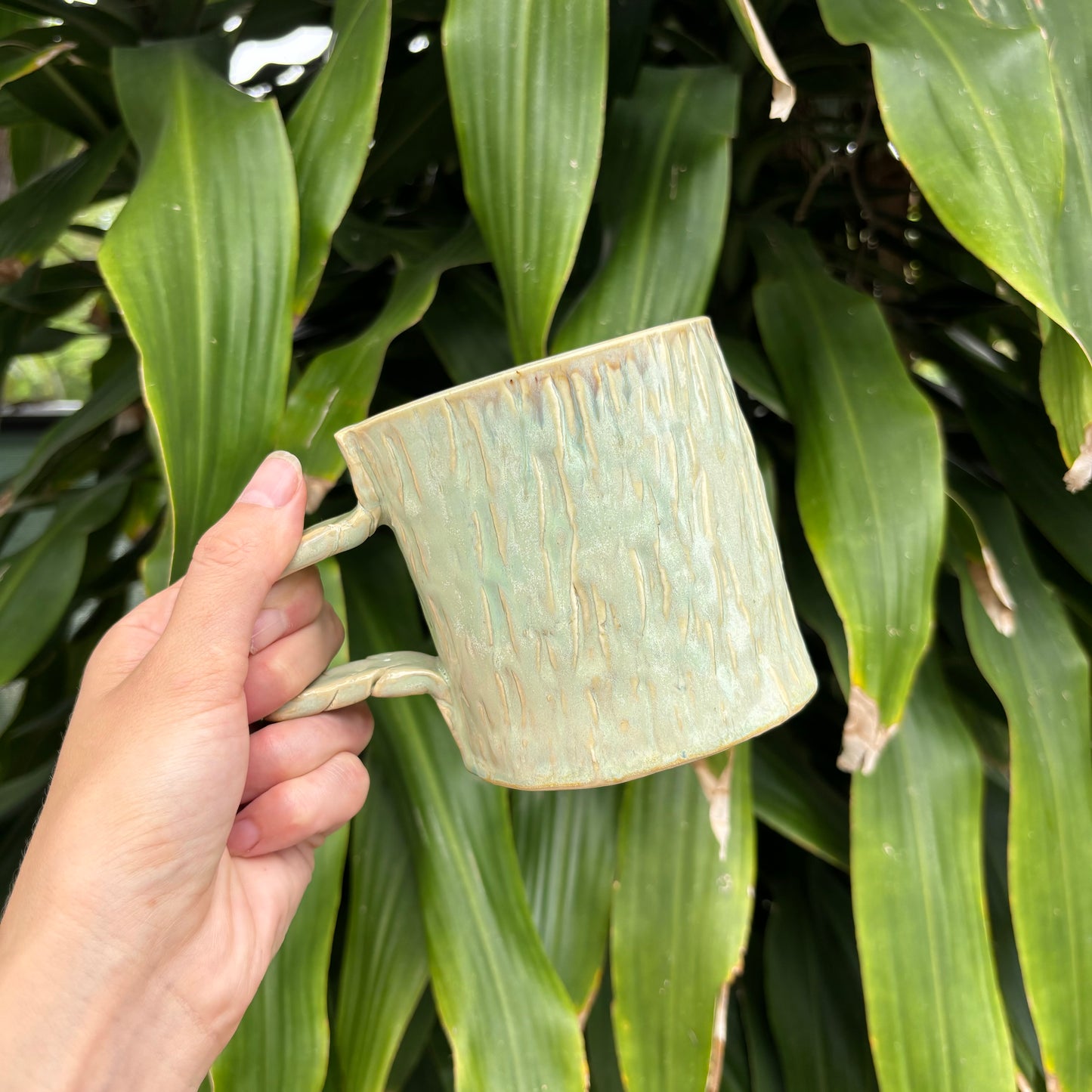 Poinciana Mug